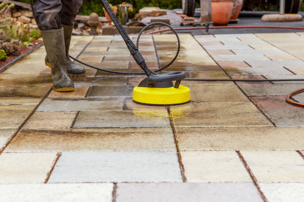 Animal Enclosure Cleaning in Greenville, DE